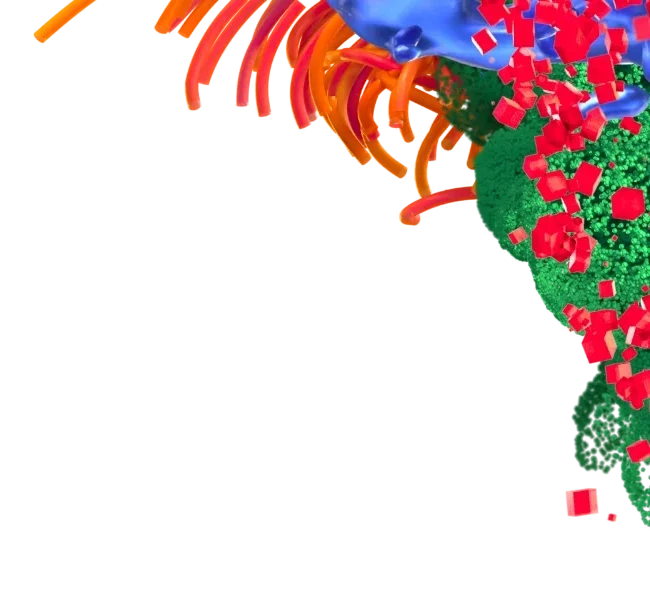 top-right-3d-overlay1-650-600